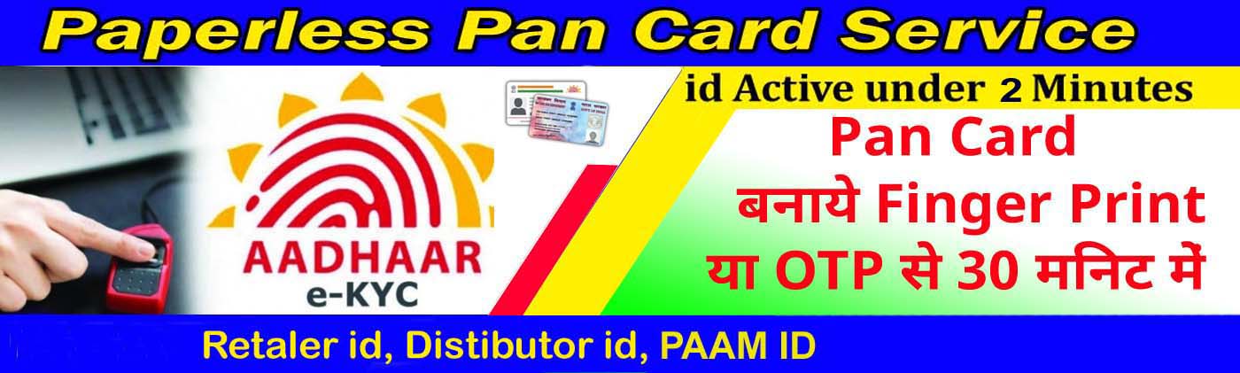 instant paperless pan card apply